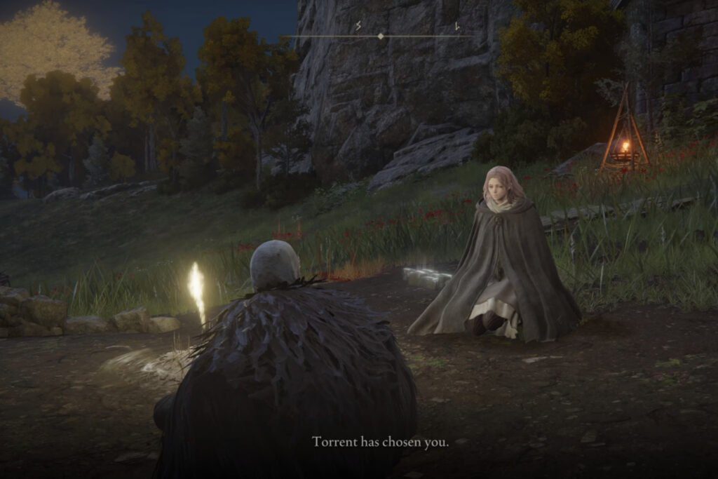 Elden Ring Review - PS5